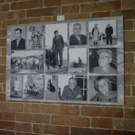 Hébergement de vacances Adega Do Zé Lourinhã